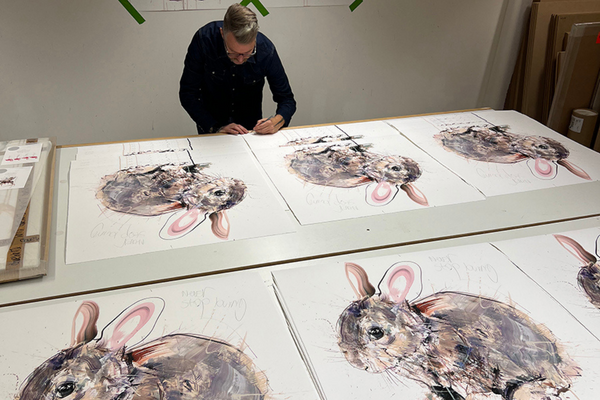 Dave white rabbit hotsell