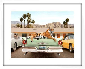 Framed Tiger Motel, Large