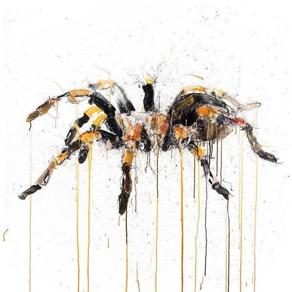 Tarantula by contemporary artist Dave White | Enter Gallery