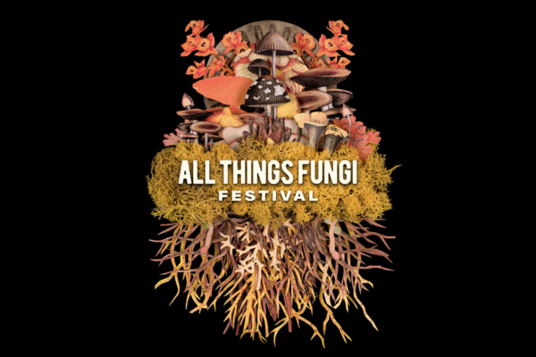 7th April: All Things Fungi at Enter Gallery