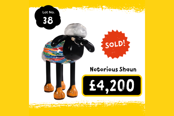 Shaun by the Sea Trail Raises £750k for Martlets