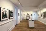 Enter Gallery Recommends: Andy Warhol: My True Story