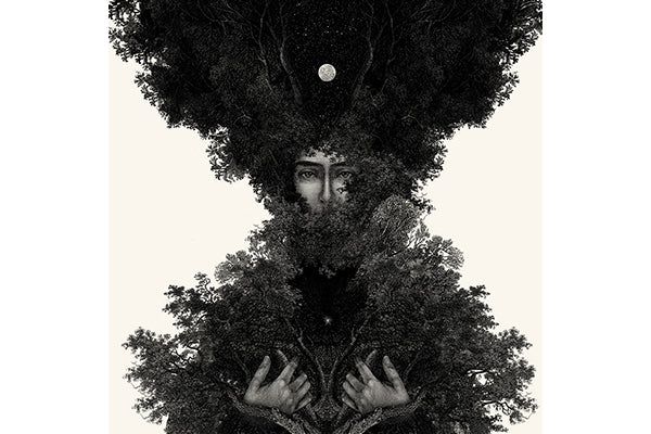 New Dan Hillier exclusive