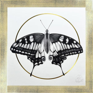 Butterfly, Gold Frame