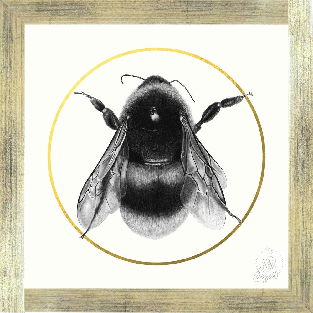 BEE, Gold Frame
