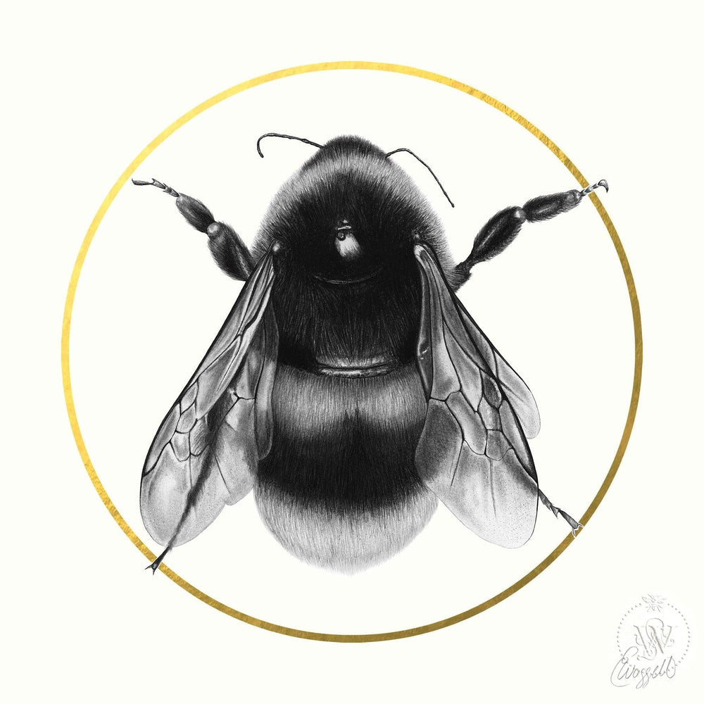 BEE, Artist Proof