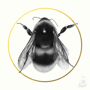 BEE, Artist Proof