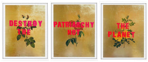 Framed Destroy The Patriarchy Not The Planet, Mini Triptych