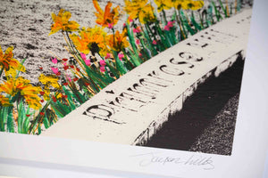 Primrose Hill One