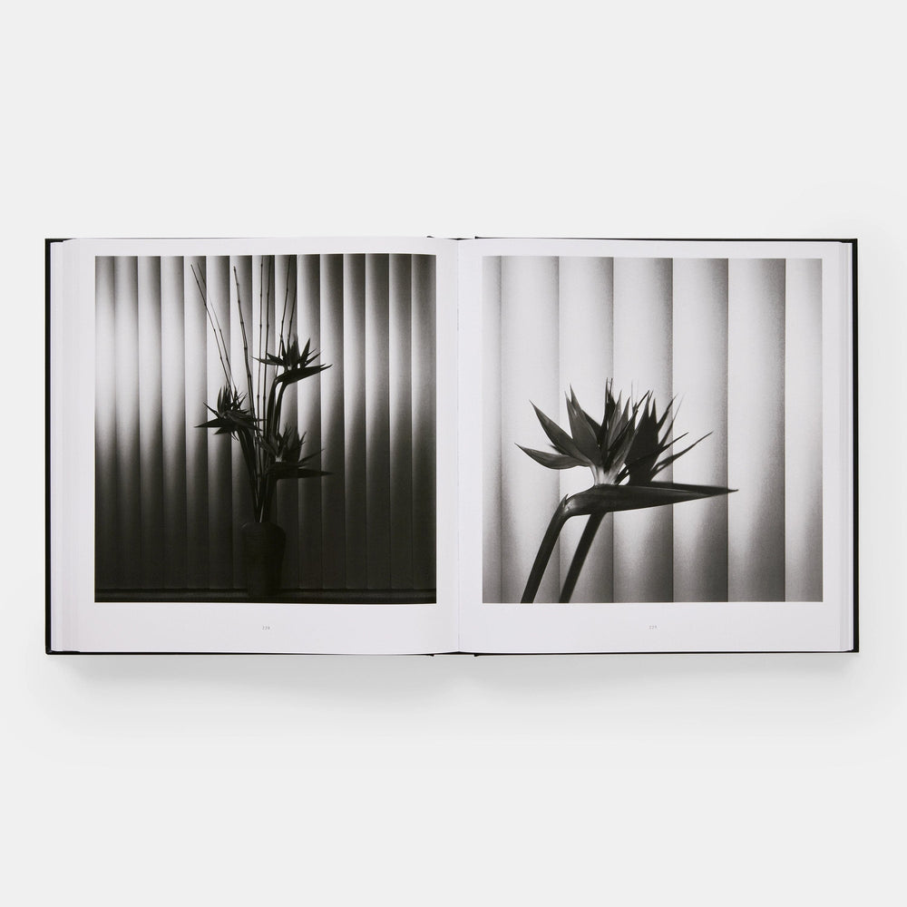 Mapplethorpe Flora: The Complete Flowers