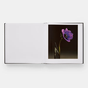 Mapplethorpe Flora: The Complete Flowers