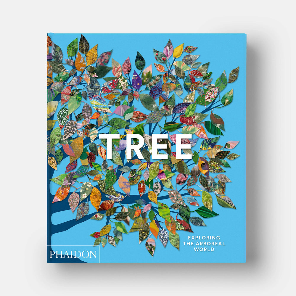 Tree: Exploring the Arboreal World