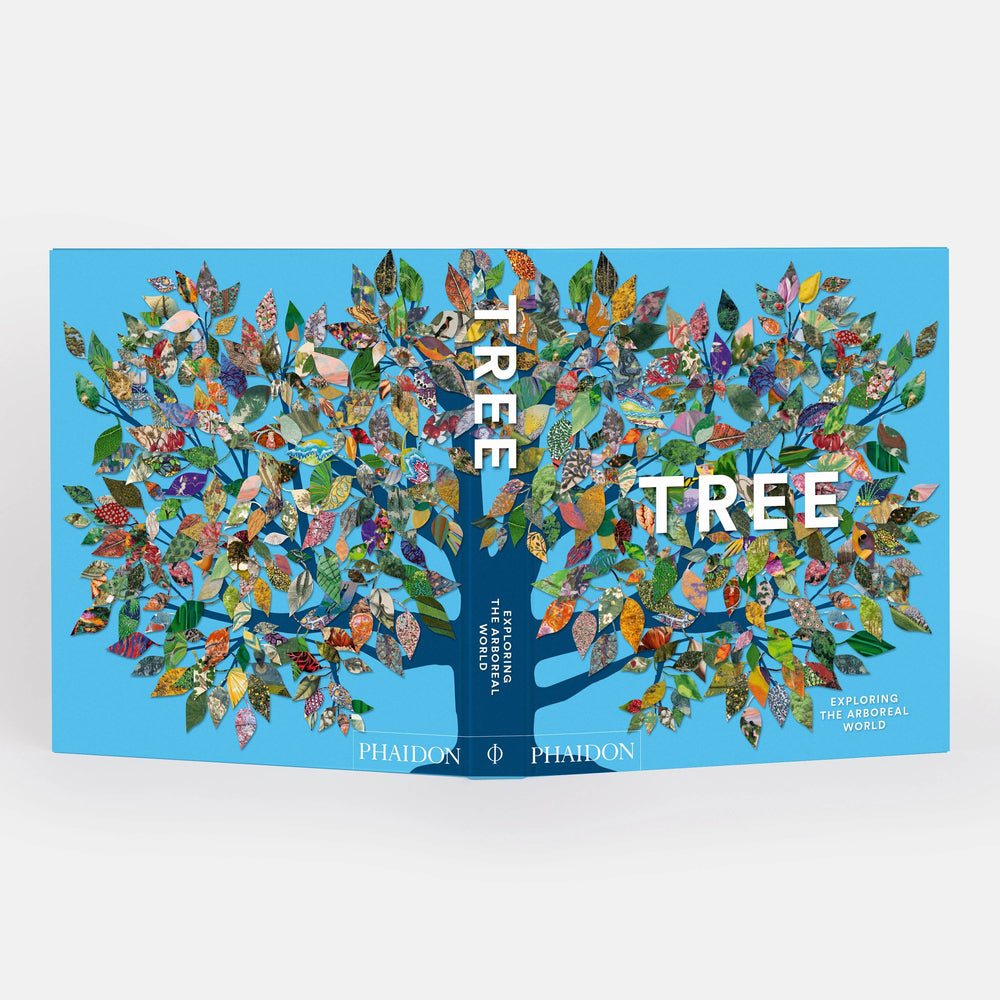 Tree: Exploring the Arboreal World