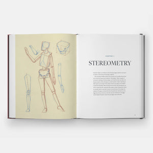 Drawing the Body: Reading the Human Form in Art