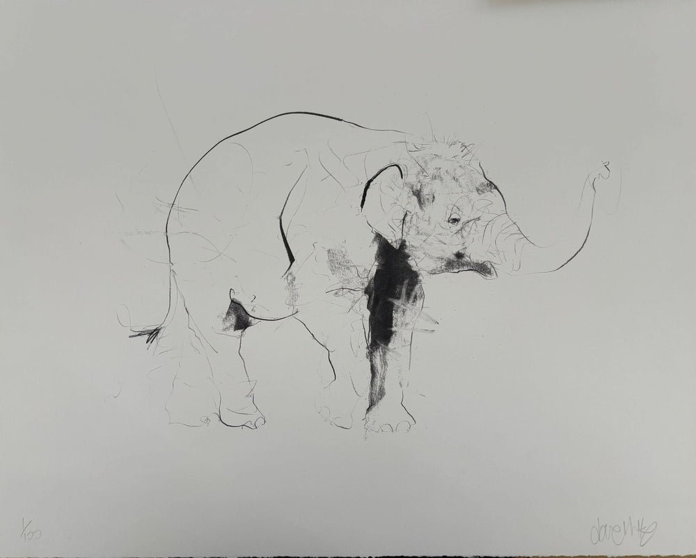 Small Elephant