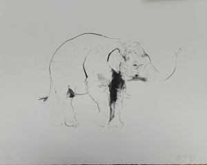 Small Elephant