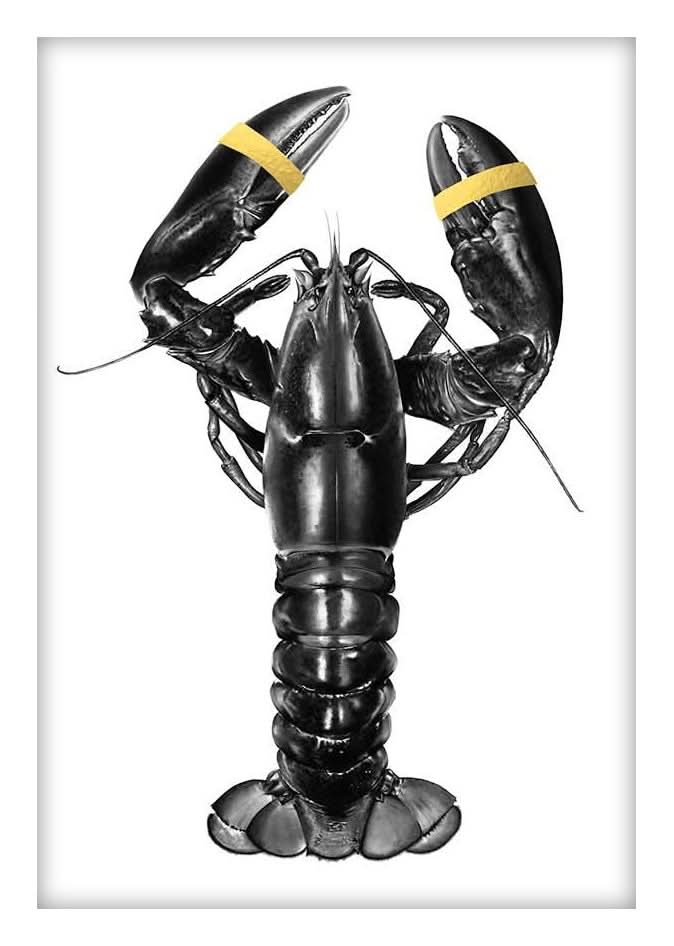 Framed The Curse of Being Magnificent, Hand Finished