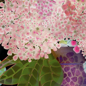 Hydrangea and Anemone