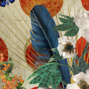Peonies and Feathers