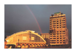 The Spider and the Rainbow, 2011