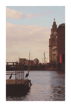 Three Liver Birds, 2011