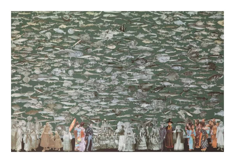 Classroom Suite: Aquarium, 2009