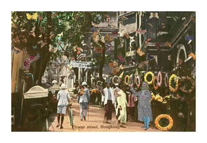 Flower Street, Hong Kong, 2011