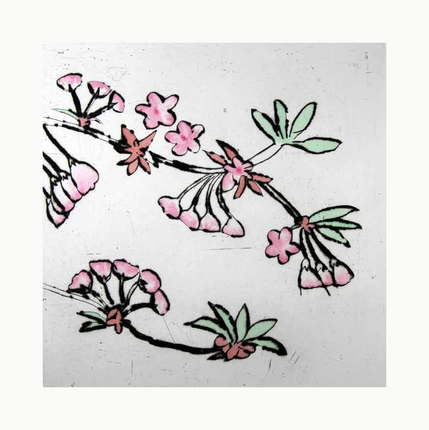 Cherry Blossom