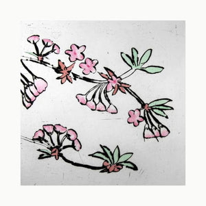Cherry Blossom