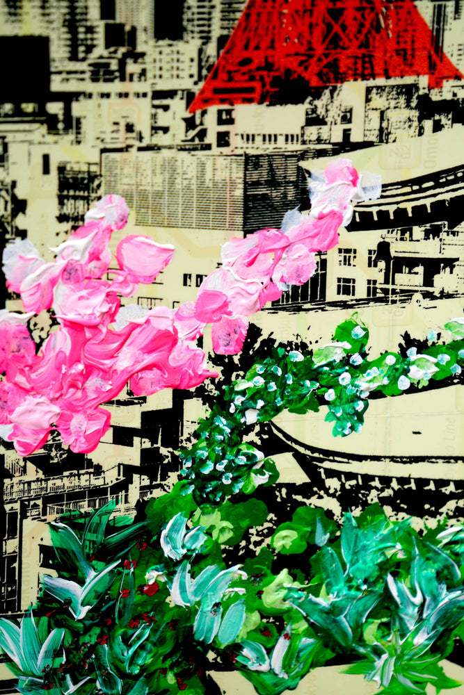 Cherry Blossom