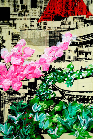 Cherry Blossom