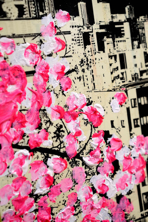 Cherry Blossom