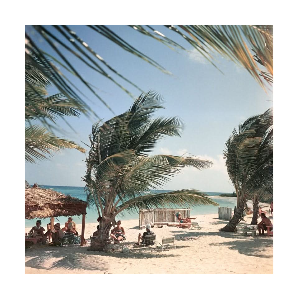 Mill Reef Club, Antigua, Giclee Print