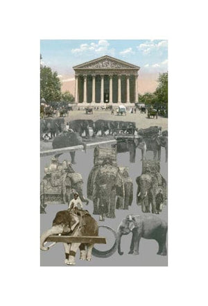 Paris, Working Elephants