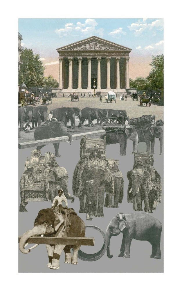 Paris, Working Elephants By Sir Peter Blake | Enter Gallery