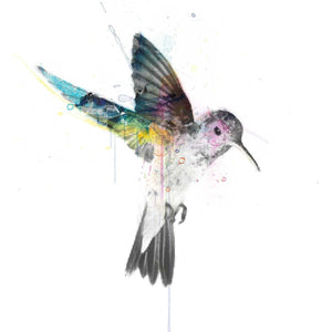 Hummingbird artwork by VeeBee 