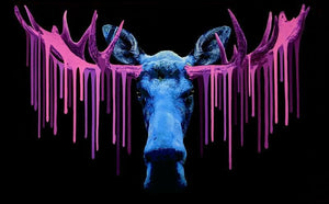 Blue Moose artwork by Carl Moore 
