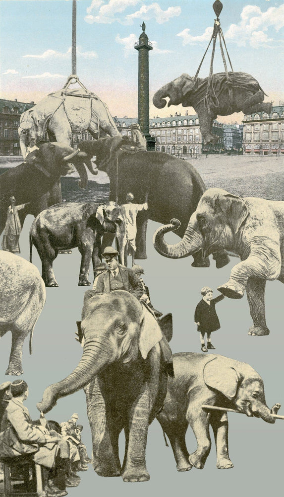 Paris Elephants artwork by Peter Blake 