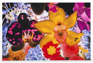 At The Far Edges of the Universe 05 artwork by Marc Quinn 
