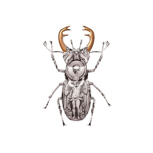 Lucanus Cervus artwork by Magnus Gjoen 