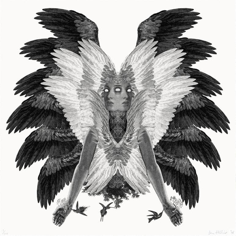 Colibri XL artwork by Dan Hillier 