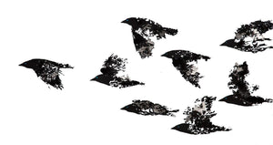 Jackdaws Black and White artwork by Rob Wass 