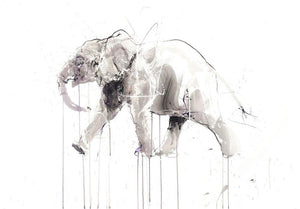 Elephant artwork by Dave White 