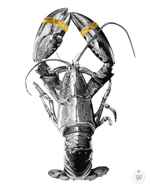 The Lobster artwork by Elizabeth Waggett 