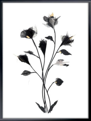 Framed Shadow Flowers Gold