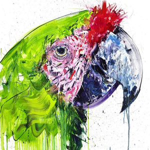 Buffon Macaw Diamond Dust artwork by Dave White 