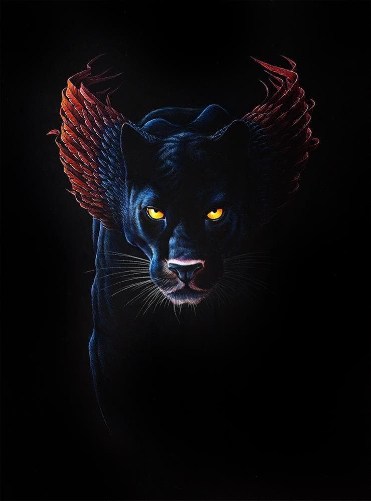 Nicobar Jaguar artwork by Dylan FLoyd 