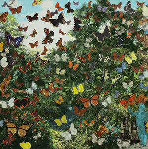 London, Hyde Park, Positively the Last Appearance of the Butterfly Man By Peter Blake | Enter Gallery