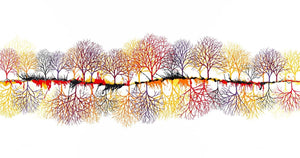 Autumn Treescape artwork by Rob Wass 
