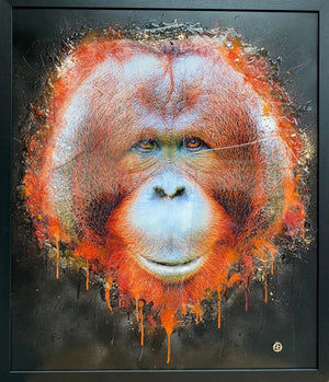 Bornean Orangutan artwork by Dan Pearce 